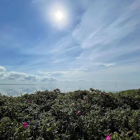 3 Person In Ringkøbing