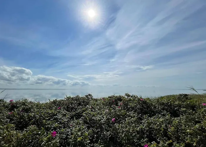 3 Person In Ringkobing